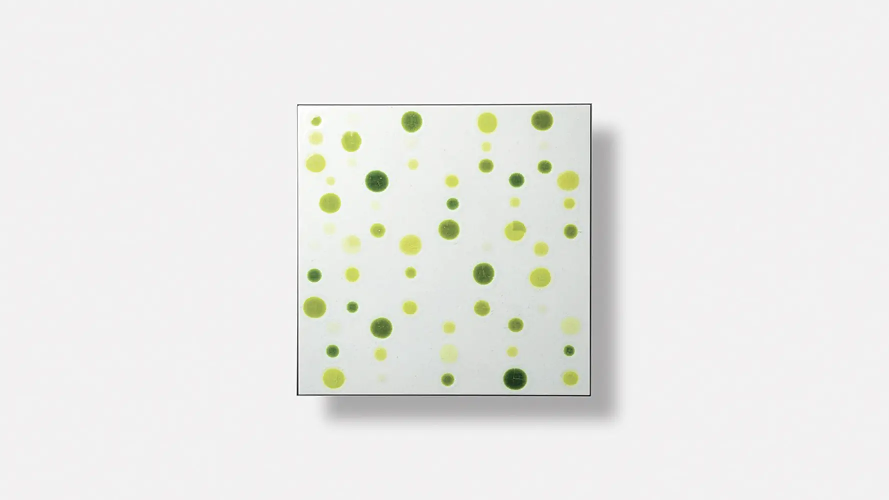 Imagem Galeria Pois 3