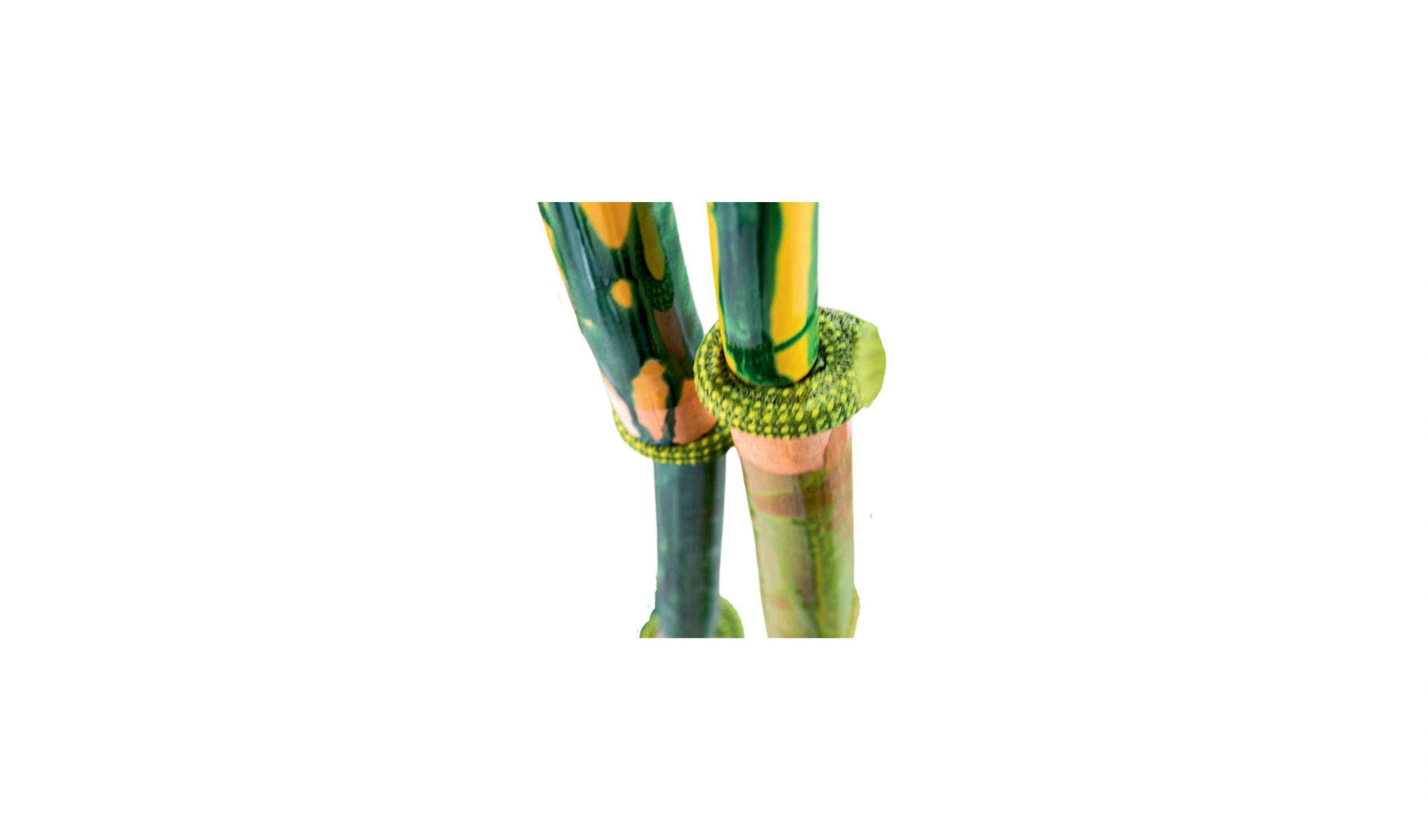 biombo bambou 1