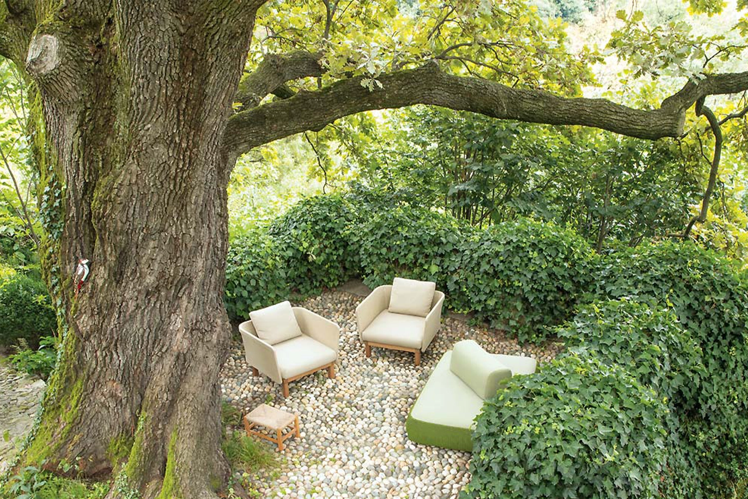 C02_1000X1500-CARROSSEL-copiar-40