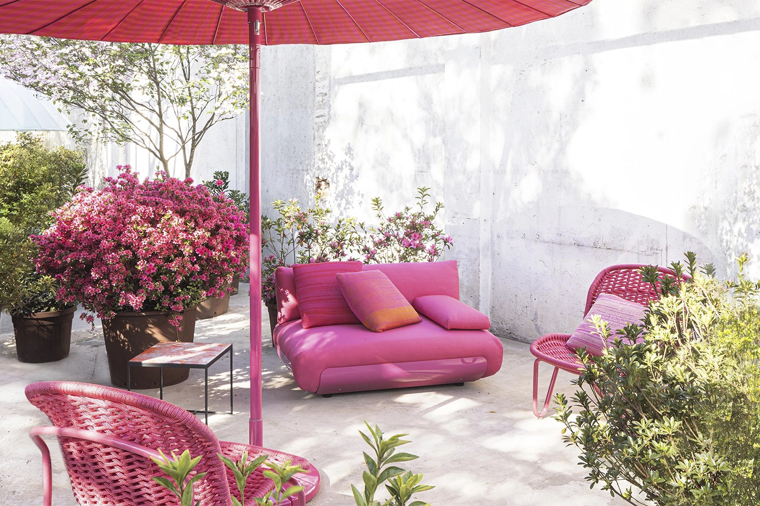 C05_1000X1500-CARROSSEL-copiar-56